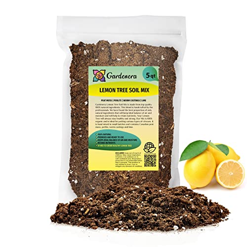 List of Top Ten Best Potting Soil For Citrus Trees Top Picks 2023 Reviews