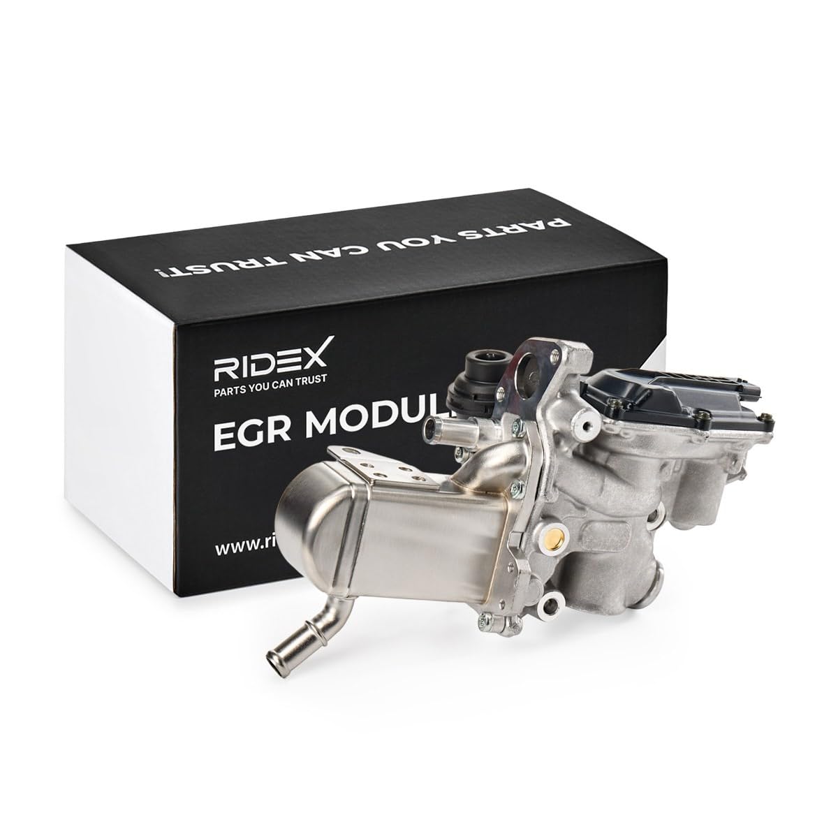 RIDEX 4198E0066 Modulo EGR elettrico con radiatore EGR senza guarnizioni con valvola EGR(ricircolo gas scarico) con bypass depressione senza fascetta Compatibilità con RENAULT Megane 3 Hatchback BZ0/1
