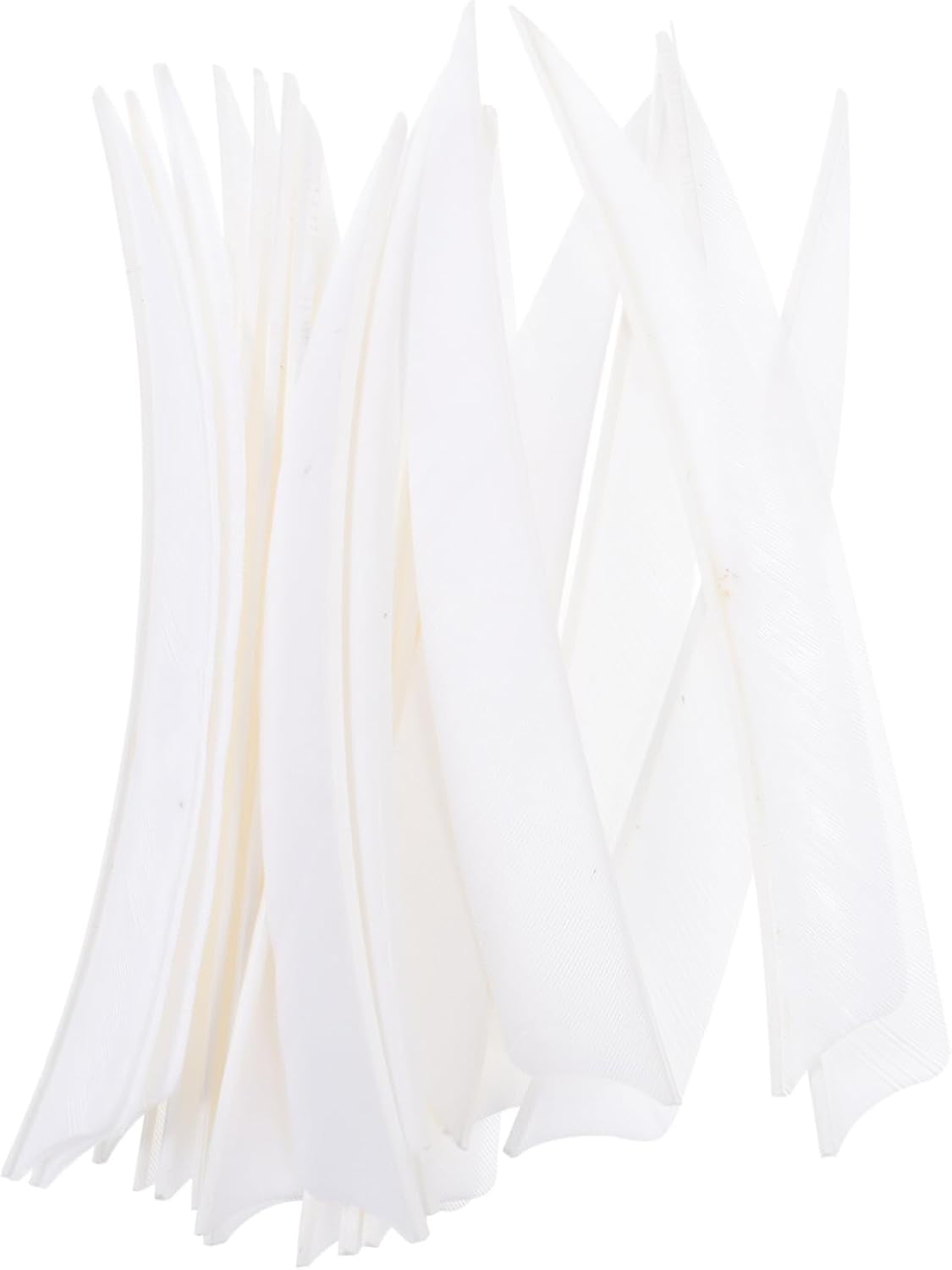 POPETPOP Arrow Tail Colors Arrows Tail Keep Accessory Arrows for Bow Turkey Decorations Tails Archery Tail Arrow