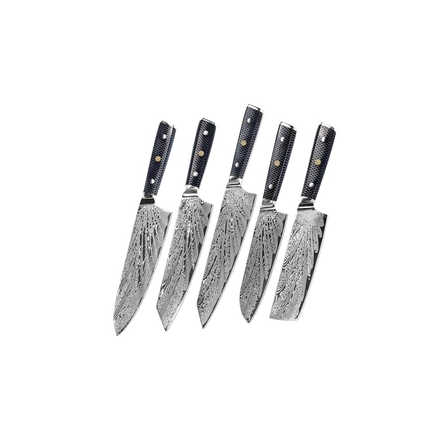 Damascus Japanese Knife Set 5 Piece 67 Layers VG10 Damascus Steel Knives Set