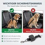 Automatik Sicherheitsgurt für Hunde im Auto - ausziehbar - aus Deutscher Produktion / Anschnallgurt Hund Auto für mittlere und große Hunde / Hundegurt mit drehbarem Edelstahl Karabiner