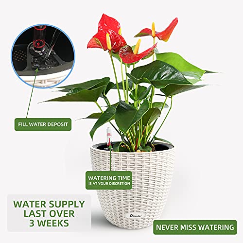 Dexceder 9X8 Inches Rattan Self Watering Planter Indoor Outdoor, Inner Pot Design, Thickened Table Flower Plant Pot With Water Level Indicator (Ivory White) #TOP4