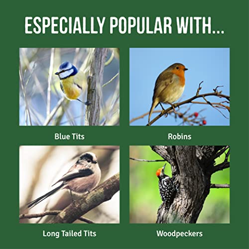 Honeyfields - Mangiatoia per arachidi per uccelli