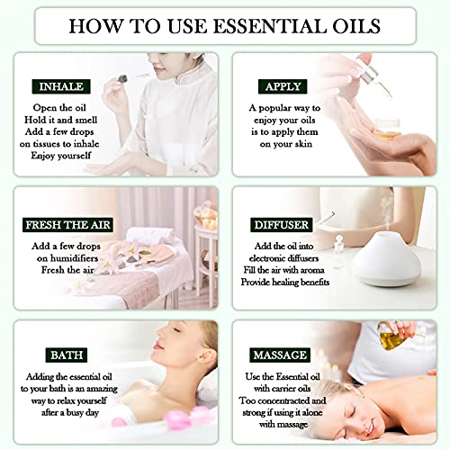 Phatoil 12Pcs Essential Oils Set With Diffused Wood And Nice Box, 5Ml Essential Oils For Diffusers For Home, Gifts For Families And Friends #TOP7