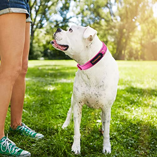 Collar para perro con neopreno acolchado y cierre de hebilla, mediano rosa miniatura 6