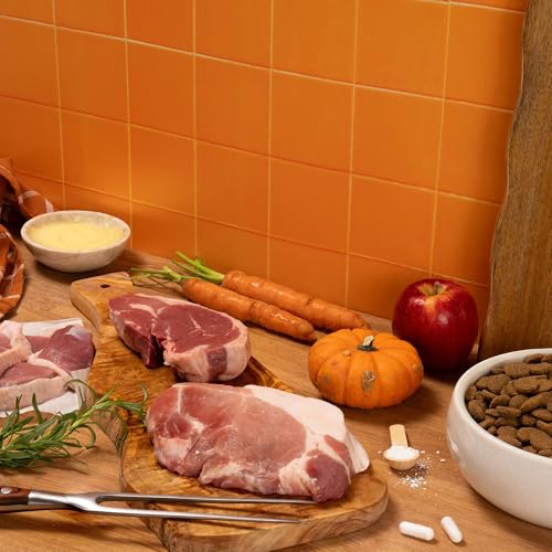 Pooch & Mutt - Getreidefreies Primal Hundetrockenfutter mit hohem Proteingehalt, Wildschwein-Geschmack, 10 kg
