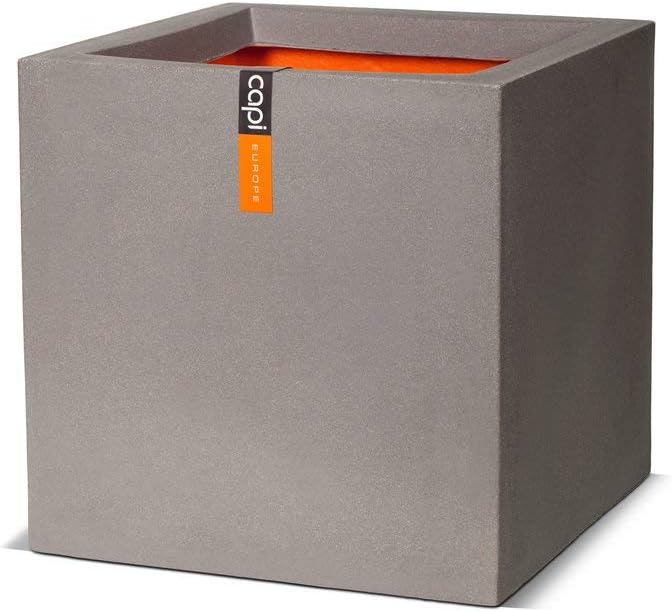 実生で楽しむケヤキ盆栽・実生記録｜ベランダで楽しむミニ盆栽の欅盆栽