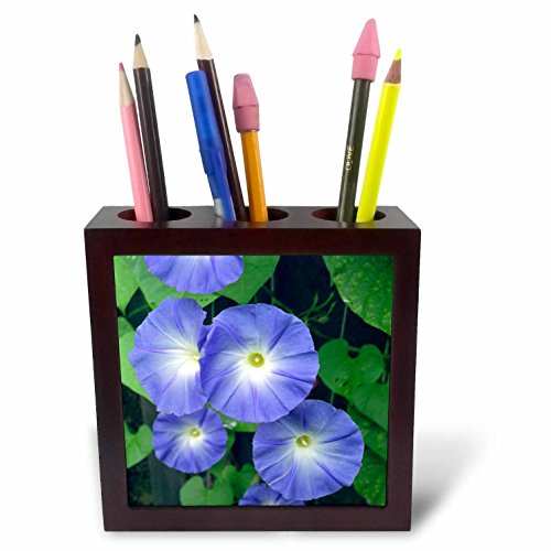 Morning Glory Flowers carrelage porte-stylo 3drose céramique haut de gamme de 12,7 cm