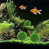 HEEPDD Bola de Algas Marinas de Plantas de Plástico para Acuario, Decoraciones de Agua Verde Artificiales de PE Duraderas para Peceras, Ideal para Uso en el Hogar y la Oficina (Grande)