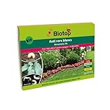 Nematodi Hb anti-vermi bianchi, anti-otiorinco, 50 milioni