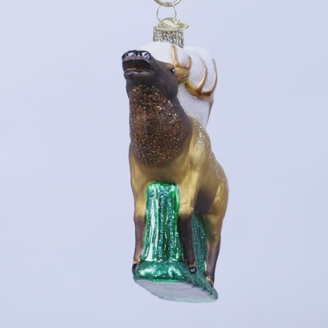 Amazon.com: Old World Christmas Elk Glass Blown Ornament for