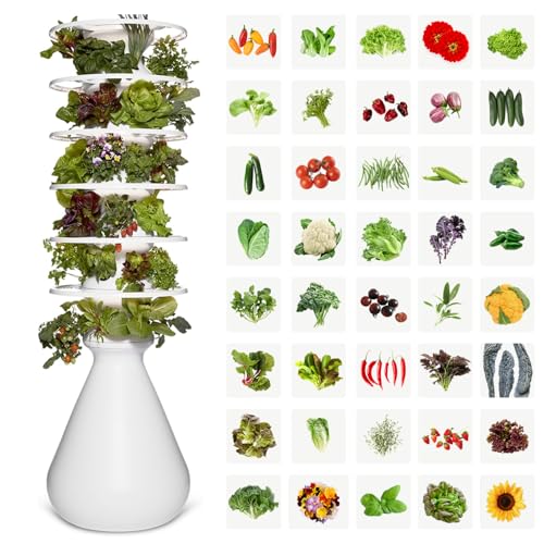 Lettuce Grow Farmstand