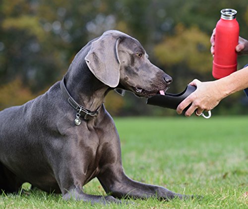 Kong H2O Kgk9Red Stainless Steel Water Bottle 700Ml, One Size #TOP3