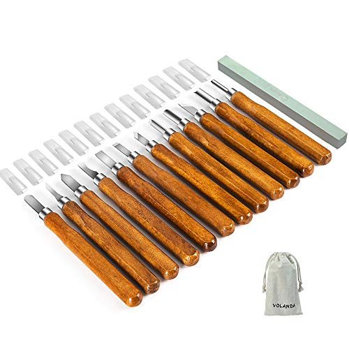 14 PCS Wood Carving Tools, SK2 Carbon Steel Sculpting Knife Kit , For Kids & Beginners with Storage Canvas bag&Millstone