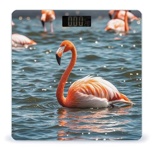 Báscula Digital de Baño FekiLoot con Plataforma Amplia miniatura 1