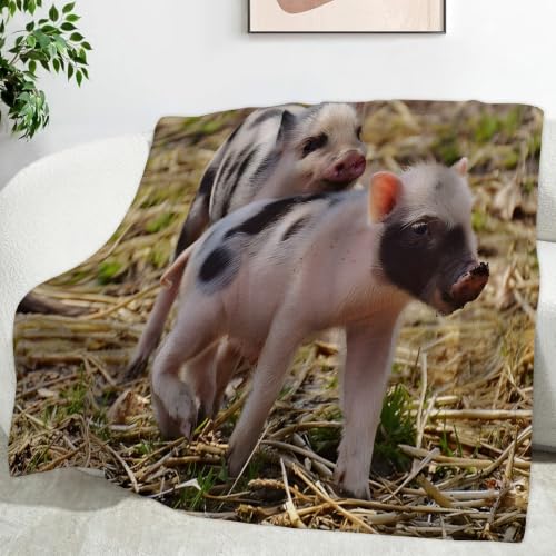 Couverture cochon nain chaude et légère en microfibre douce - 2