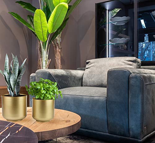 Vixdonos VOX20210325-GOLD Large Gold Planters Metal Aloe Brass-Tone Plant Pots Indoor Decorative Flower Pots thumb #8