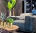 Vixdonos Large Gold Planters Metal Aloe Brass-Tone Plant Pots Indoor Decorative Flower Pots with Drain Holes(8+7.1Inch)