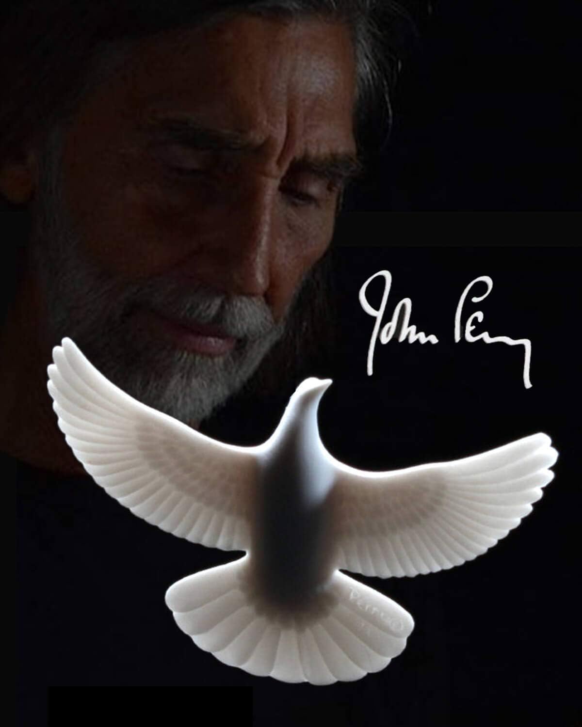 John Perry Christmas Turtle Doves oficjalne gołębie przyjaźni symbol Boże Narodzenie miłość zestaw 2 sztuki od oficjalnego artysty filmu Kevin Allein In NY
