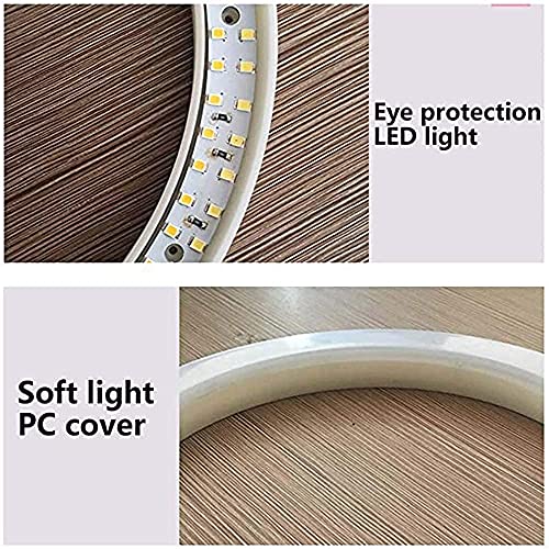 FACAZ Ringlicht Desktop Ring Fülllicht 12 Zoll USB Tragbares Ring Fotografie Licht 8W Live Beauty Makeup LED Ringlicht… – Bild 7