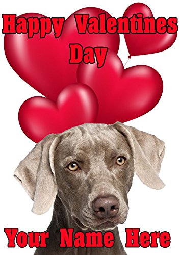 Weimaraner Dog TV292 Fun cute carta di San