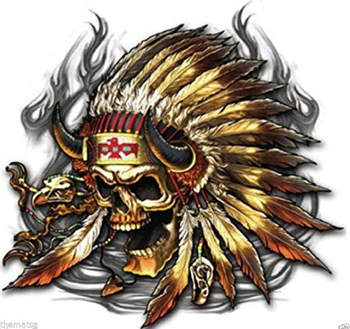 Sticker-Designs 10cm! Klebe-Folie Wetterfest Made-IN-Germany Indian Chief Skull Totenkopf Punisher UV&Waschanlagenfest Auto-Aufkleber Profi-Qualität! F1923
