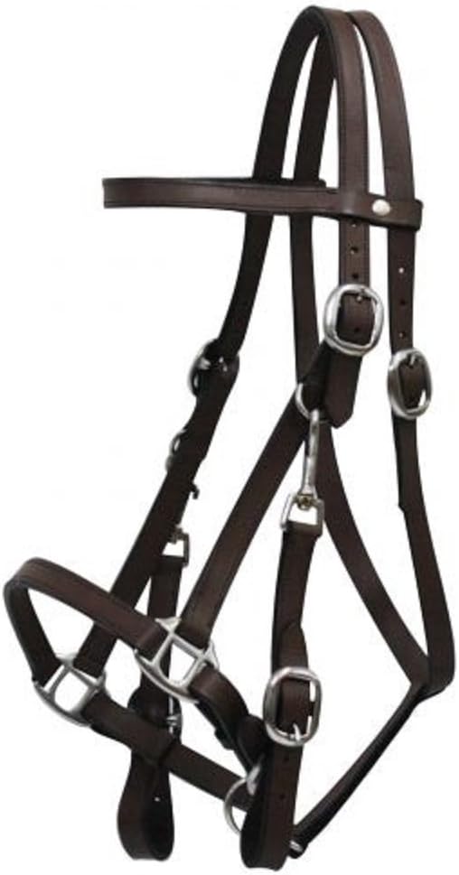 Showman Brown Leather Trail Halter Bridle Combo