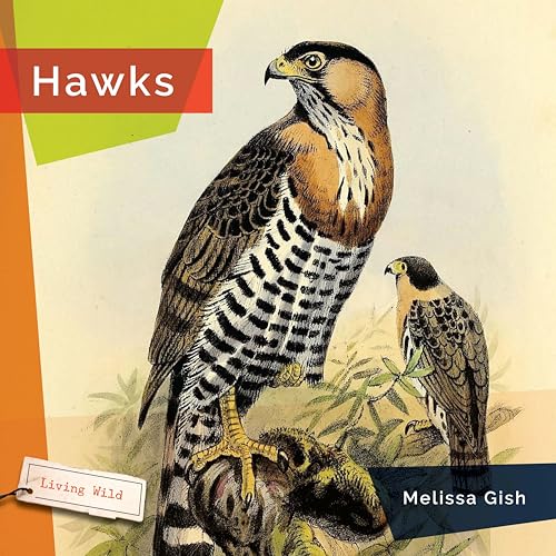Hawks (Living Wild)