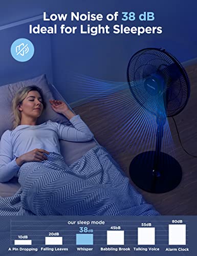 image for PELONIS 16