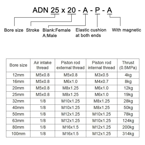 Vérin pneumatique ADN20 double effet avec filetage externe pour automatisation - 3