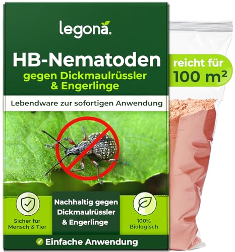 Legona HB-Nematoden gegen Dickmaulrüssler - 100m² / 50 Mio - hochwirksam & biologisch Käfer und Engerlinge des Junikäfer und Gartenlaubkäfer bekämpfen Legona HB-Nematoden gegen Dickmaulrüssler - 100m² / 50 Mio - hochwirksam & biologisch Käfer und Engerlinge des Junikäfer und Gartenlaubkäfer bekämpfen