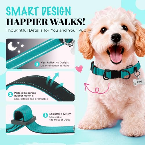Collar Reflectante para Perro con Doble D y Etiqueta ID, Nylon Ajustable miniatura 5