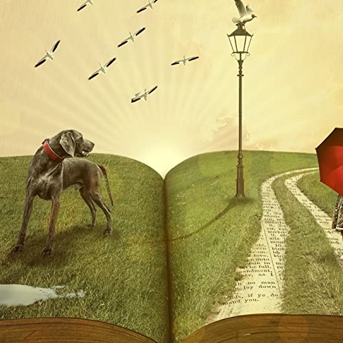 Cuentos infantiles: 3. LA MUERTE