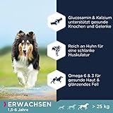 Eukanuba Hundefutter getreidefrei mit Huhn für große Rassen - Trockenfutter für ausgewachsene Hunde, 12 kg