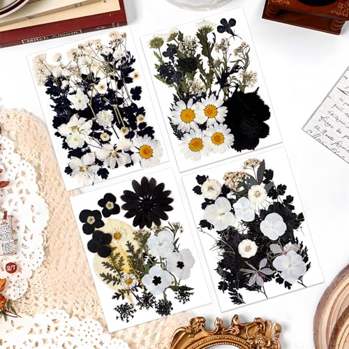 100 flores secas prensadas para manualidades miniatura 2