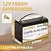 FLLYROWER 12V Lithium Battery 100AH With BMS and 16500 Deep Cycles 12V 100AH Lifepo4 Battery Grade A Cells for Marine Trolling Motor RV camping Solar Golf Cart Off-Grid