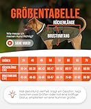 ZAUBERPFOTE® Hunderegenmantel London I Mit extra langem YKK® Reißverschluss für Halsband & Geschirr I Für kleine, mittlere & große Hunde I Wasserdicht & Maschinenwaschbar I Regenmantel für Hunde (55)