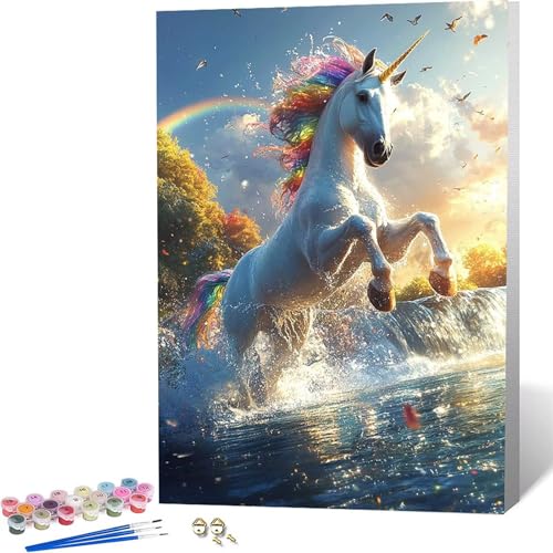 Paint by Numbers ���j�R�[�� �������G �H �y�C���g�o�C�i���o�[, ��l�p�����h��G�L�����o�X�N���t�g �u���V�ƃA�N�����G�̋�� �z�[�� �I�t�B�X����, �����ւ̃M�t�g 60x80CM -zjn2604G9
