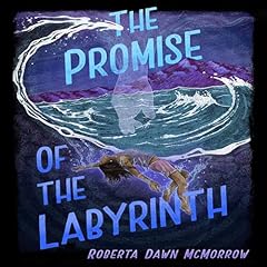 The Promise of the Labyrinth Audiobook By Roberta Dawn McMorrow cover art