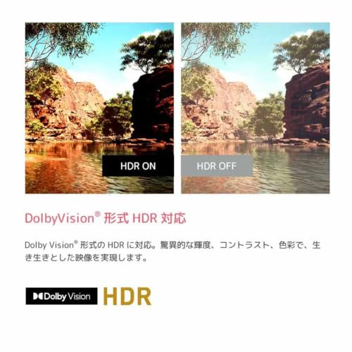 オリオン スマートテレビ 50V型 4K 液晶 Google TV HDR10対応 Dolby Audio You Tube NETFLIX Prime video OLS50RD20A