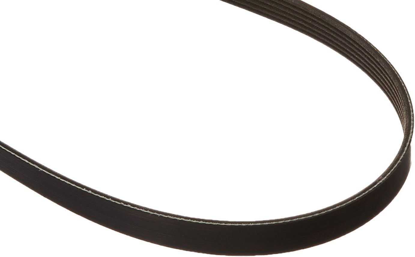 Motorcraft Drive Belt