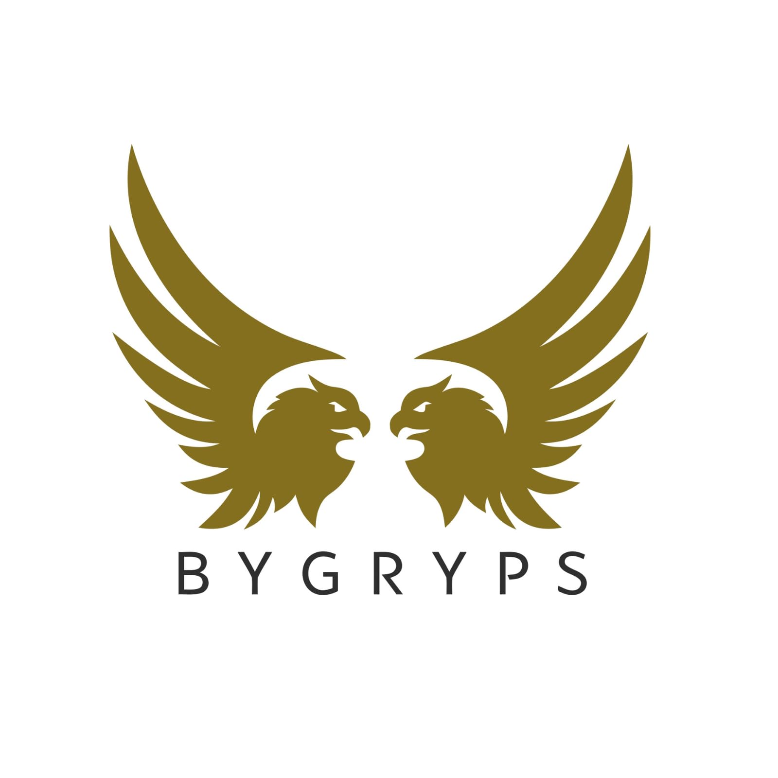 EpoGryps MP Résine époxy bi-composant 1,5 kg rapide durcissement, structurel et multifonctionnel pour la réparation de fibre de verre, bateaux, camping-cars, modélisme, restauration bois.Haute