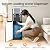 Bottom Loading Water Dispenser with Heating & Cooling - 110V Instant Hot/Cold Water for 3 or 5 Gallon Bottles, Energy-Efficient, Child Safety Lock & Anti-Scalding Design Stainless in Gold/Gray. (Gray)