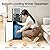 Bacocoo Bottom Loading Water Cooler Dispenser for 5 Gallon Bottles - 3 Temperatures with Hot, Stainless Steel Room & Cold Spouts, Child Safety Lock, LED Display with Empty Bottle Alert.(Dark Gray)