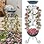 X-PREK Bird Bath with Garden Trellis for Outdoor Climbing Plants, Free Standing Detachable Bird Feeder Bowl & Bottom Flowerpot, Green Iron Bird Bath Stand for Outdoors 36 Inch Garden Decor