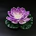 Acmee LED Light up Floating Lily pad Water Floating LED Lotus Light Color Changing Pool Decoration Light LED Floating Flowers Light for Ponds, Pools or Fish Tank Decor (6 Lotus and 2 Lily Pads)