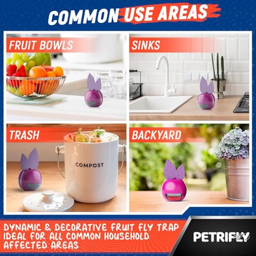 UV Fruit Fly Traps for Indoors + Sticky Traps 2pk- Fruit Fly Traps Indoor for Home - Fruit Fly Trap & Gnat Traps for House Indoor - Fly Killer - Gnat Catcher