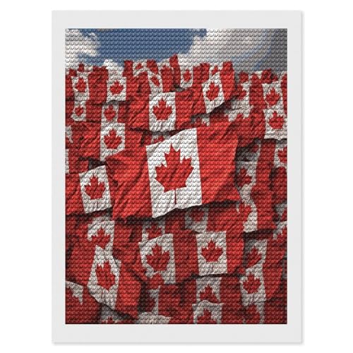 Pintura de diamantes de la bandera canadiense para decorar y relajar el salón de adultos