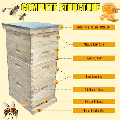 Gkweres Bee Hive Boxes Starter Kit thumb #4