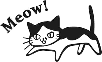 51ej4-Fd52L._AC_UF350,